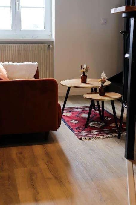 Appartement Duplex Au Coeur De Reims Luaran gambar